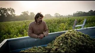 Jo Landron Presents: Les Houx, Muscadet from Sandstone