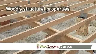 Wood’s structural properties