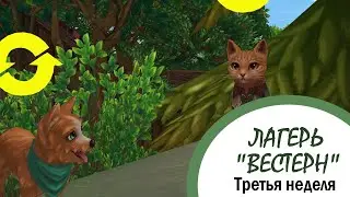 Star Stable Online | Лагерь 