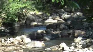 Dry Season River