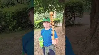 Everything I eat at Emerald Park!