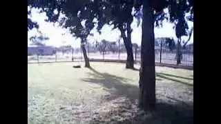 rodrigo y k-chito