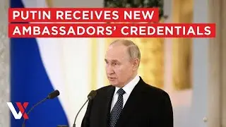 LIVE | Putin Receives Credentials Of New Foreign Ambassadors In The Kremlin | VERTEX