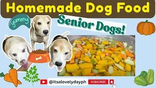 How to make healthy Homemade Dog food