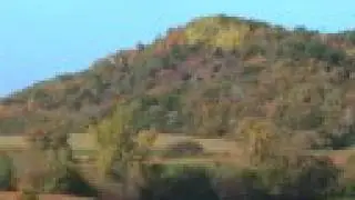 Managing Forests For Today and Tomorrow - Part 1