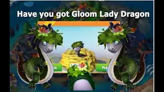 Have you got Gloom Lady Dragon-Dragon Mania legends | Dragon of the week | DML