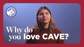 We asked CAVE Volunteers - Why do you love CAVE?