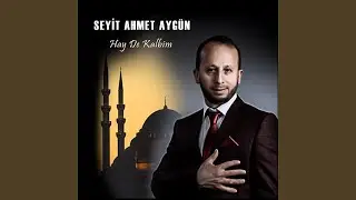Gelmedin Annem