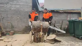 Stihl MS 881 vs Stihl MS 880 ported.