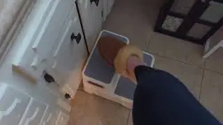 Amazon find: step stool for kids
