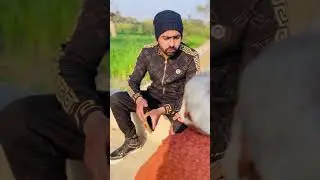 jawari baap part 1 #shortsviral #holidaywithshorts #motivation