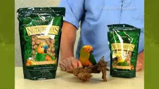 PetSolutions: тропические фруктовые вкусы Nutri Berries от Lafeber для домашних птиц
