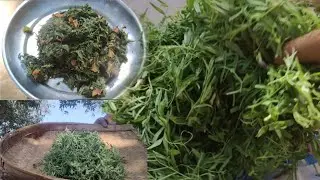 Chana saag ki best recipe #sambalpuri #cooking #deshi 