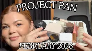 Проект Pan | Февраль 2026 года