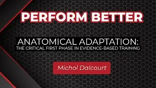 Anatomical Adaptation: The Critical First Phase in Evidence-Based Training | Michol Dalcourt