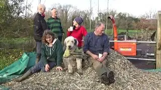 Harvesting Some Of Our Home-Grown Timber, And Making Woodchips