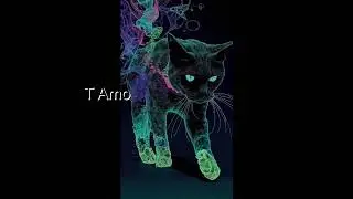 NegoAlisso - T Amo
