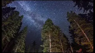 Sub cerul nopții &icirc;nstelat - poezie creștină