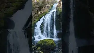 💦🏞️ #tribergerwasserfalle #triberg #waterfall #waterfallsound #schwarzwald #blackforest #travelshort