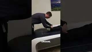 DEXA/DXA Scan, Most Accurate Body Fat and Body Composition Measurement #health #gym #fitness #dexa