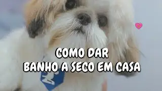 PASSO A PASSO - COMO DAR BANHO A SECO NO SEU PET EM CASA
