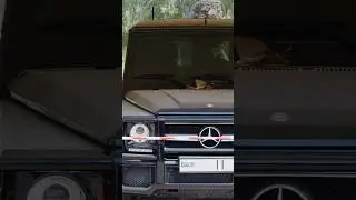 Birds Nest On Sheikh Hamdan G-Vagon #shorts #ytshorts #youtubeshorts #trending #virlshort #foryou