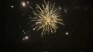 Wolff - Gold Navy (Straatvideo)