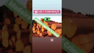 A verdade &eacute; &uacute;nica! Madeira legal &eacute; legal!