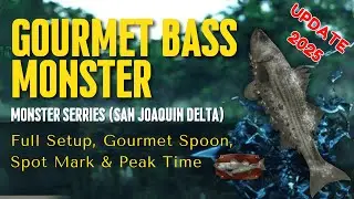 🐟 How to Catch the Gourmet Bass Monster🎣| San Joaquin Delta Guide (Gourmet Spoon, Spot & Peak Time)🐟