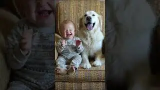 baby and dog cute smil heartwarning friendship