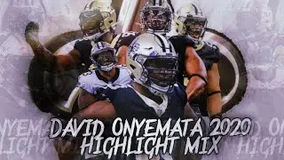 David Onyemata NFL Mix||