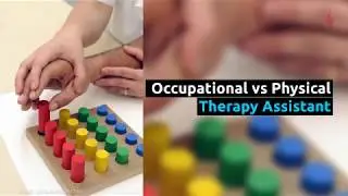 How does an Occupational Therapy Assistant differ from Physical Therapist Assistant