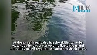 Can the A2O process perfectly solve the problem of removing organic matter, nitrogen and phosphorus?