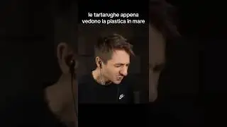 #meme  #ratorix #relatable #sea #tartaruga #fyp
