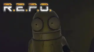 I Genuinely Joined Public REPO Servers