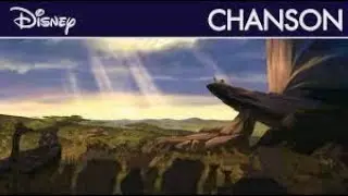 LE ROI LION - L'histoire de la vie
