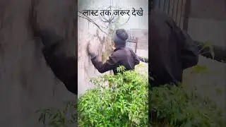 Rgada ho agar toha ghar pent karve ke h #comedy #funny #viral #firstvlog #foryou #love #nonfollowers