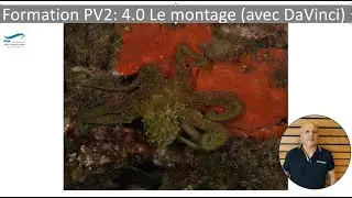 4 Formation Plongeur Vidéaste Niveau 2 :  Le montage