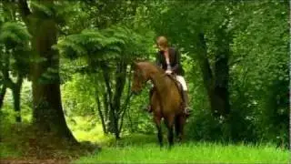 VIKING Ride-on Mowers - Green Passion - Origo Lawn and Garden