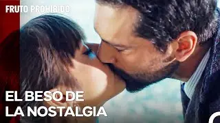 El Día Romántico De Alihan Y Zeynep - Fruto Prohibido Capitulo 54