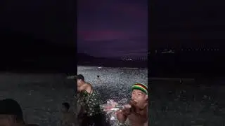 Why Did MILLIONS Of Sardines Wash Ashore Here?