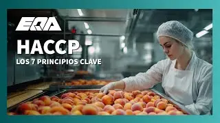 🟢 HACCP: Los 7 Principios Clave Explicados Paso a Paso