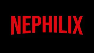 Встреча по проекту NEPHILIX