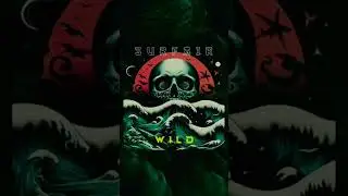 SurfAir - Wild #drumandbass #newmusic #music #dnb #electronicmusic #musicproducer #wild #surfair