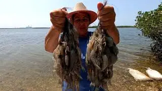 Camarones al gusto