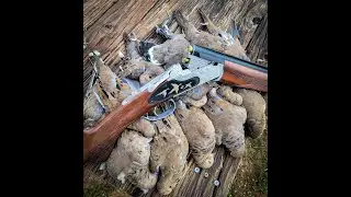 First Dove hunt of the year with my favorite .410, full limit under an hour!
