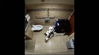 Robot cleaning toilet