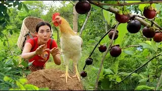 Survival skills- Catch chicken in forest for food- Cooking chicken for lunch of survival