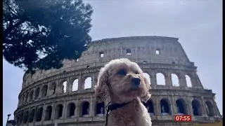 Mark Radcliffe & Arlo the dog on their Rome trip (UK/Italy) 15/Aug/2025
