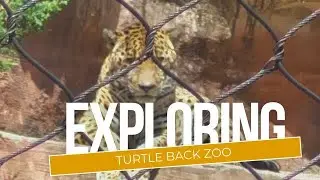 Visiting Essex County Turtle Back Zoo